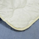 Ковдра Viluta вовняна в мікрофібрі Comfort 170*205 двоспальна (300)