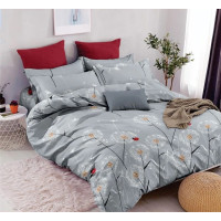 Постільна білизна Pretty ранфорс - 121 полуторна