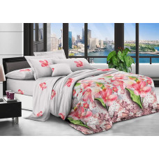 Постільна білизна Sofia полікоттон - СПК-257 полуторна