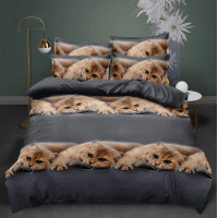 Постільна білизна Sofia полікоттон — СПК-214 двоспальна