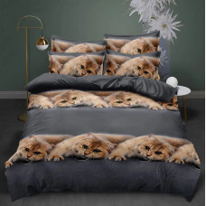 Постільна білизна Sofia полікоттон — СПК-214 двоспальна