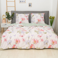 Постільна білизна Isleep Viluta ранфорс — 25364 двоспальна