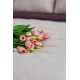 Ковдра ArCloud — Double Face Plum Wine 140*205 полуторна (350 г/м2)