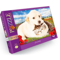Пазли "Дружба", 2000 елементів Dankotoys (153561)