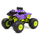 Автомобіль Bigfoot Off-road на р/в - Violet (1:16, 27 МГц (MHz))